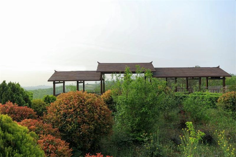园区景观